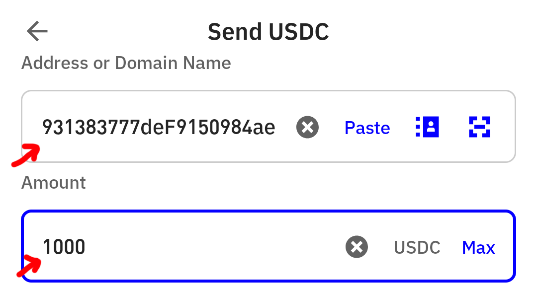 Enter Address and Amount